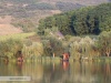 Cazare la Casute in Zona 1